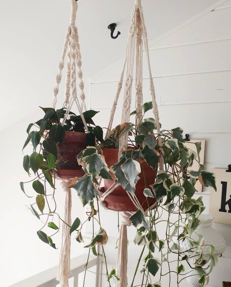 Enchanting Duo Plant Hangers Pattern thumbnail 2
