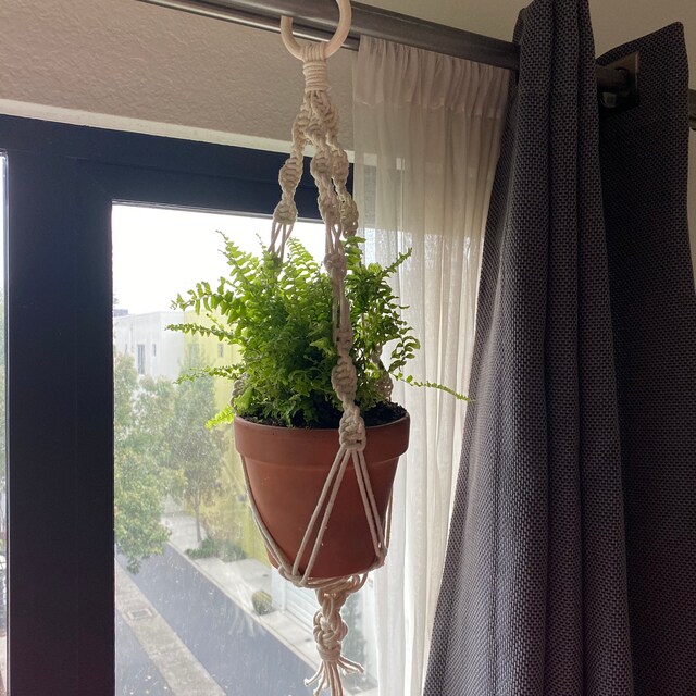 Alicia's finished project